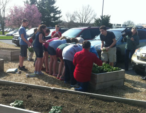 Students from Charles S. Patton Middle School pick spinach as a videojournalist from NBC-10 looks on, after being awarded a $5,000 grant, Friday.