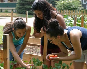 Garden-2