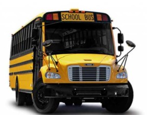 NewBus