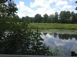 At the Stroud Water Research Center, keeping waterways like the Brandywine Creek clean is an ongoing goal.