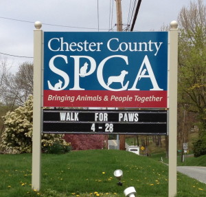 The 26th Annual Walk for Paws helps support the programs at the Chester County SPCA, an independent, nonprofit agency.
