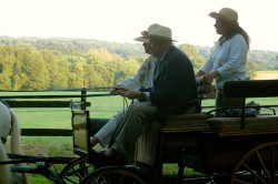 The carriage parade is always a highlight of the Chester County SPCA's Forget-Me-Not Gala.