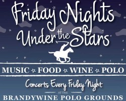 FridayUnderTheStars