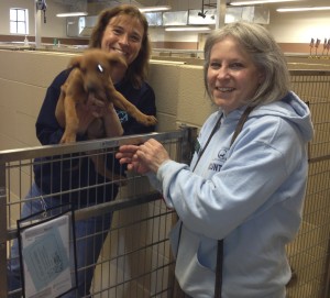 Michele Amendola (left), kennel coordinator at the Chester County SPCA, and Carin Ford, a board member, show off a Doberman pinscher puppy that they hope will be a short-time guest at the facility.