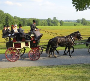 An elegant carriage parade is a popular tradition of the Chester County SPCA's annual Forget-Me-Not fund-raiser.