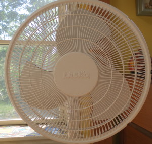 Fans for seniors who qualify