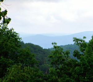 Bald Mountain Preserve in Bear Creek Township will eventually be open to visitors for passive recreation. Photo courtesy of Joe Vinton