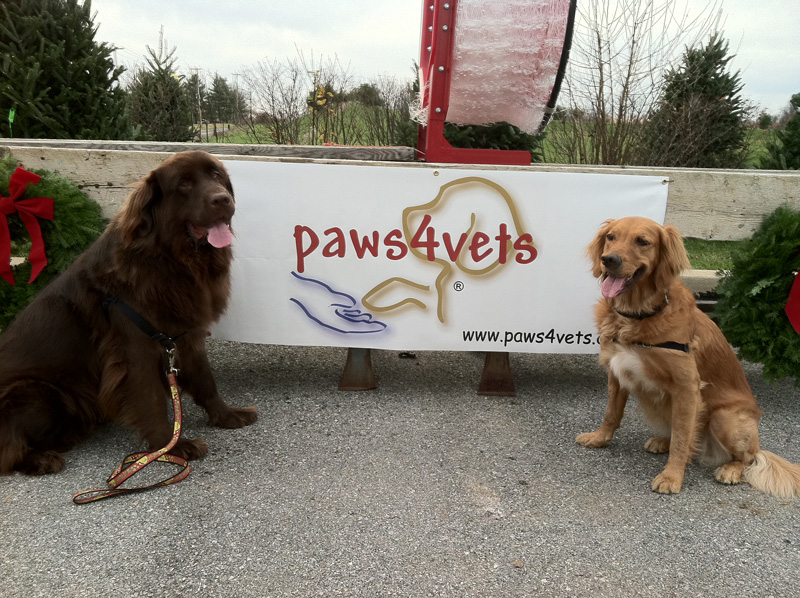 Paws4people