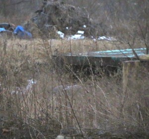 On an inhospitable tract littered with construction debris in Kennett Township, many have found materials to cobble together ramshackle residences.