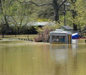 BrandywinePicnicPark