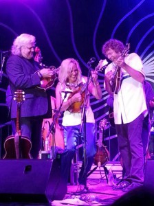 dv bluegrass -- rhonda vincent