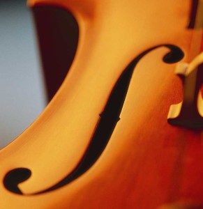 fiddle