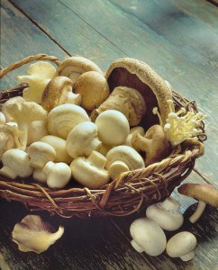 Basket-mushrooms-cropped-