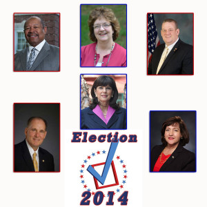 Election2014State-Rep