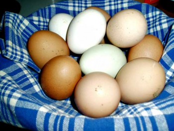 susans-egg-basket
