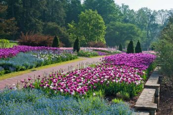 Spring is in full bloom at Longwood Gardens.