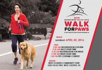 walk for paws