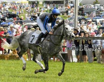 The 24th annual Willowdale Steeplechase is Sunday, races, tailgating competition and, of course, those hats.