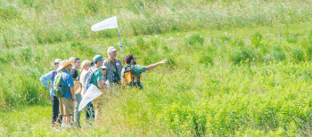 Longwood Gardensl hosts “Meet Us in the Meadow Day” Saturday.