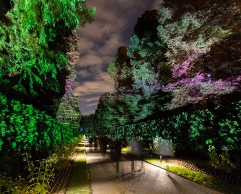 'Nightscape' is back for a second year at Longwood Gardens.