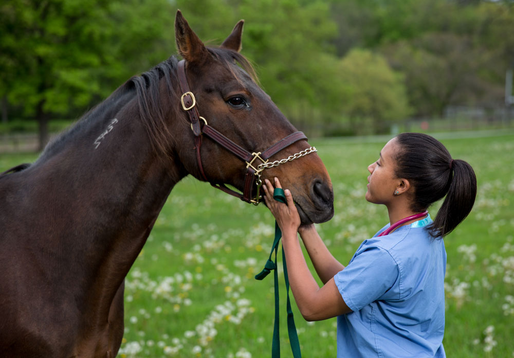 Dr. Morgan Taylor is one of six veterinary students profiled in "Life at Vet U" which begins airing this Saturday on Animal Planet.