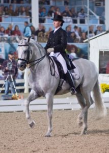 The annual Dressage at Devon.