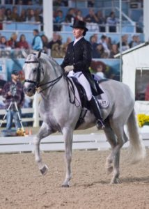 The annual Dressage at Devon.