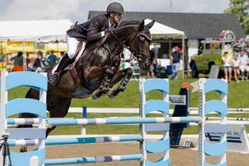 Enjoy a Chester County tradition -- Labor Day at Ludwig's Corner Horse Show.