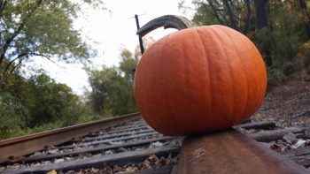 The “Great Pumpkin Express Trains” are running on the West Chester Railroad this weekend.