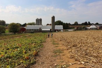 King's Pumpkin Farm of Parkesburg was one of two winners of agricultural awards from the Chester County Commissioners.