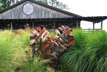 Lele Galer's heart sculpture at Galer Estate Vineyard and Winery.