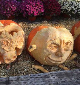 Carved pumpkins from the Chadds Ford October Great Pumpkin Carve donated by H.G. Haskell of SIW Vegetables on Route 100.